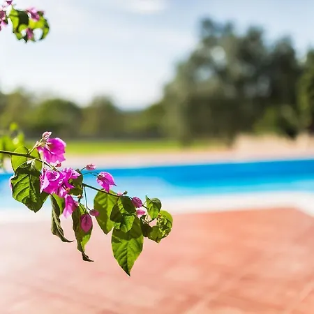 Villa Luxurious In Baderna With Swimming Pool *